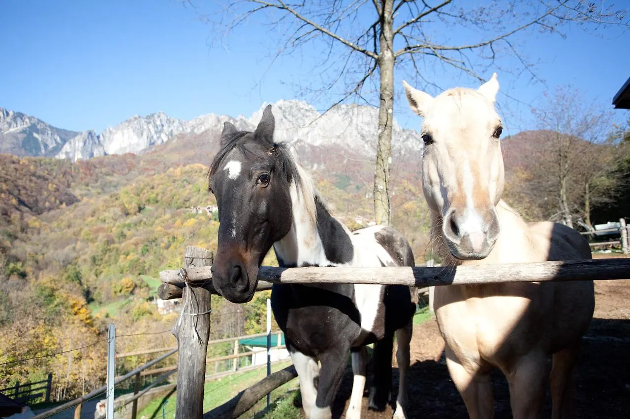 L'Angolo Di Paradiso Bed & Breakfast Valli del Pasubio Italy
